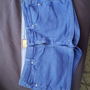 Paige Canyon Short 💙